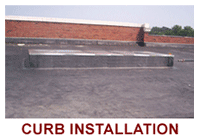 Curb Installation